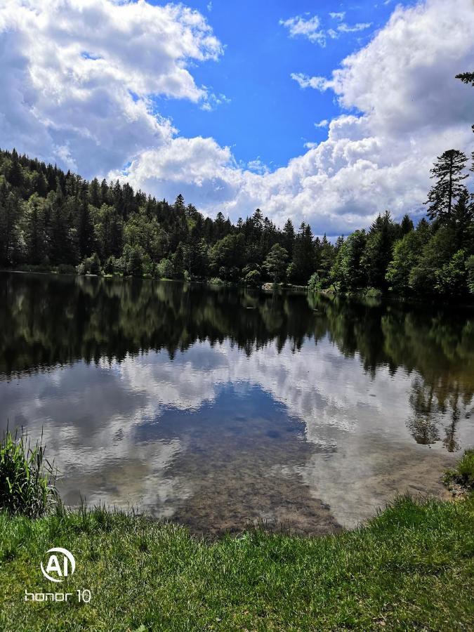 Résidence La Mauselaine La Perle Des Vosges *