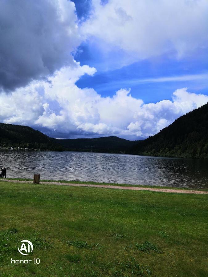 Résidence La Mauselaine La Perle Des Vosges