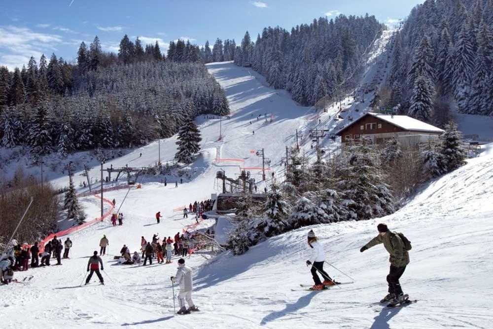Résidence La Mauselaine La Perle Des Vosges Appartement *