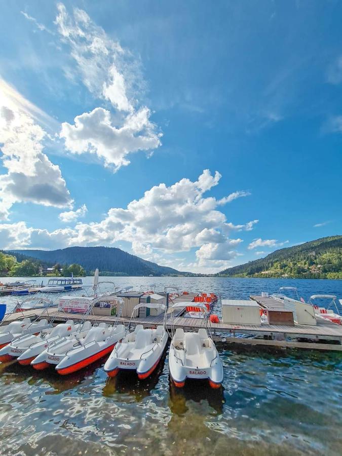 La Mauselaine La Perle Des Vosges Gérardmer