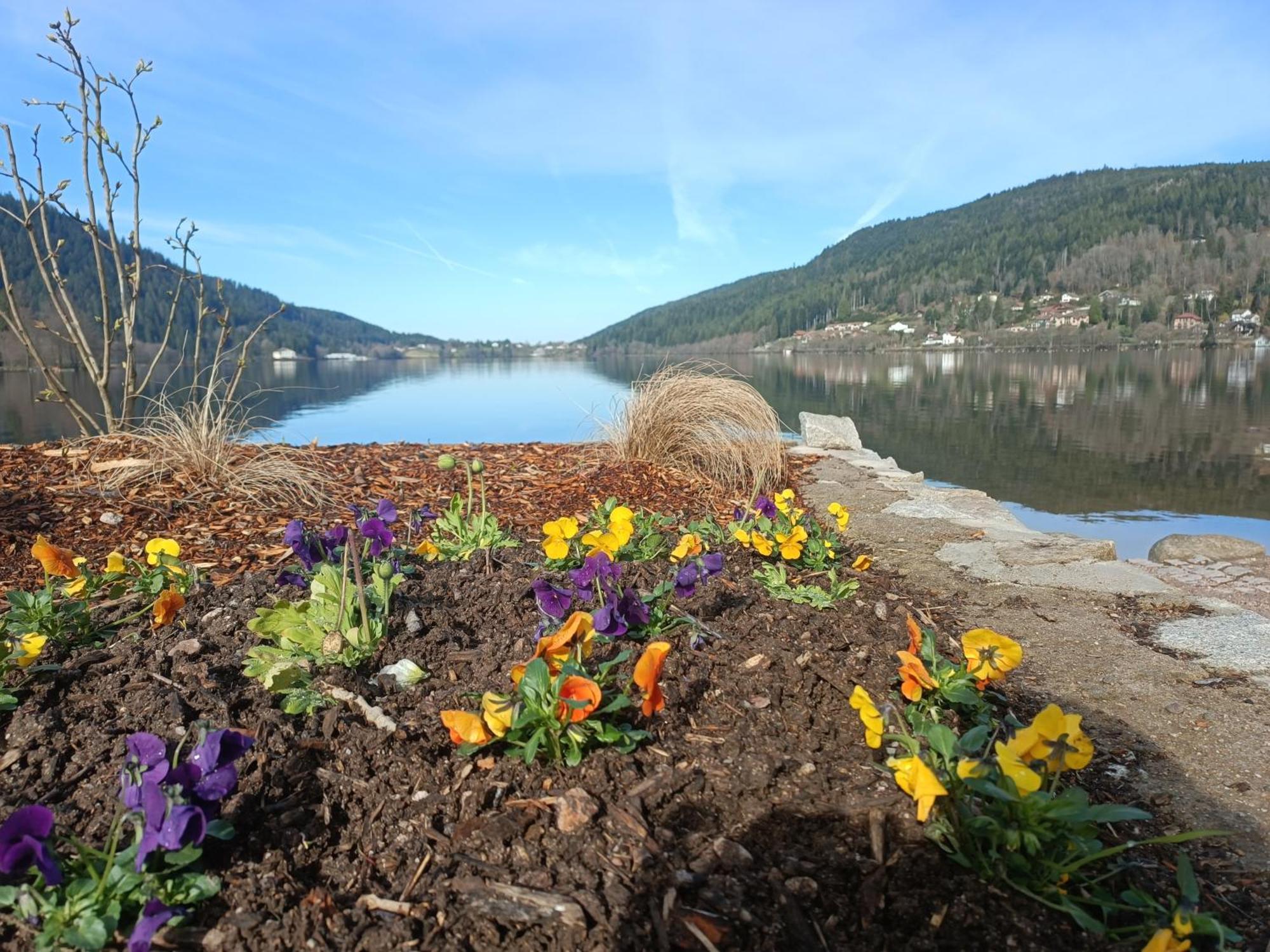 Appartamento Résidence La Mauselaine La Perle Des Vosges
